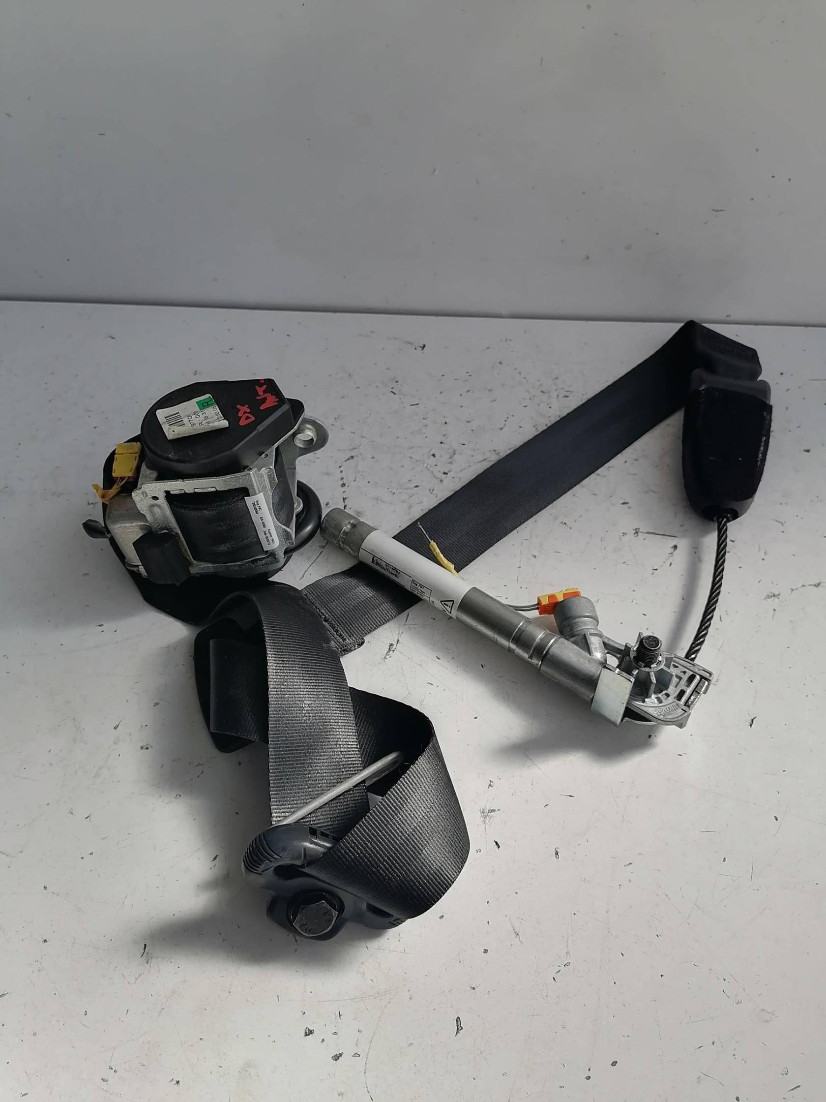 Cintura di sicurezza ant. dx.